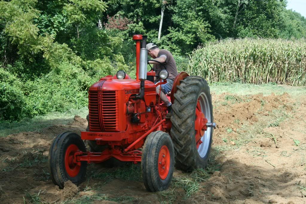 Case Tractors Digging Potatoes